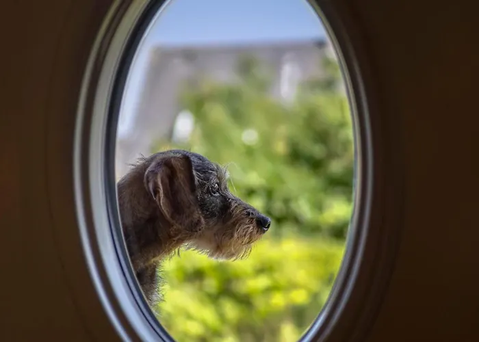 Casa vacanze Suedwind's Greta & *