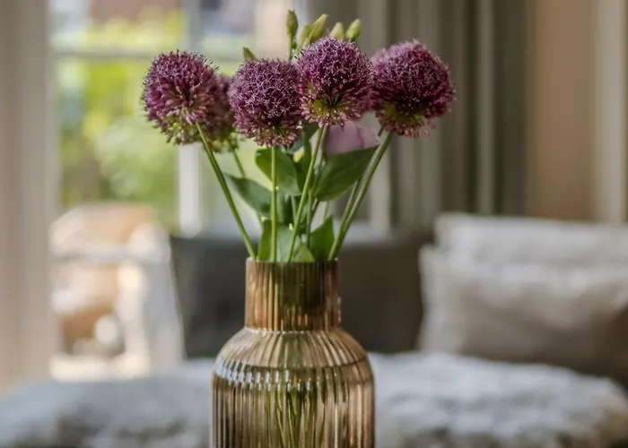 Suedwind's Greta & *